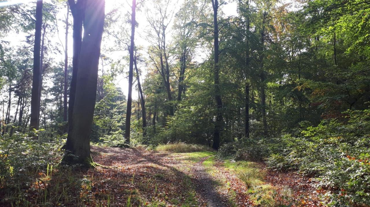 Ferienhaus Piel - Am Inselwald ユッケリッツ エクステリア 写真